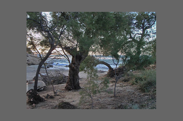 Μήλος Παραλία Γερανιά